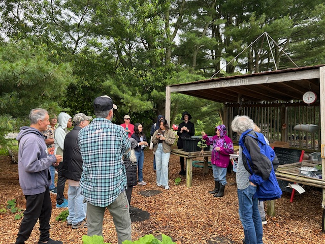 Wild Herb Identification Walk at Red Fox Farm
