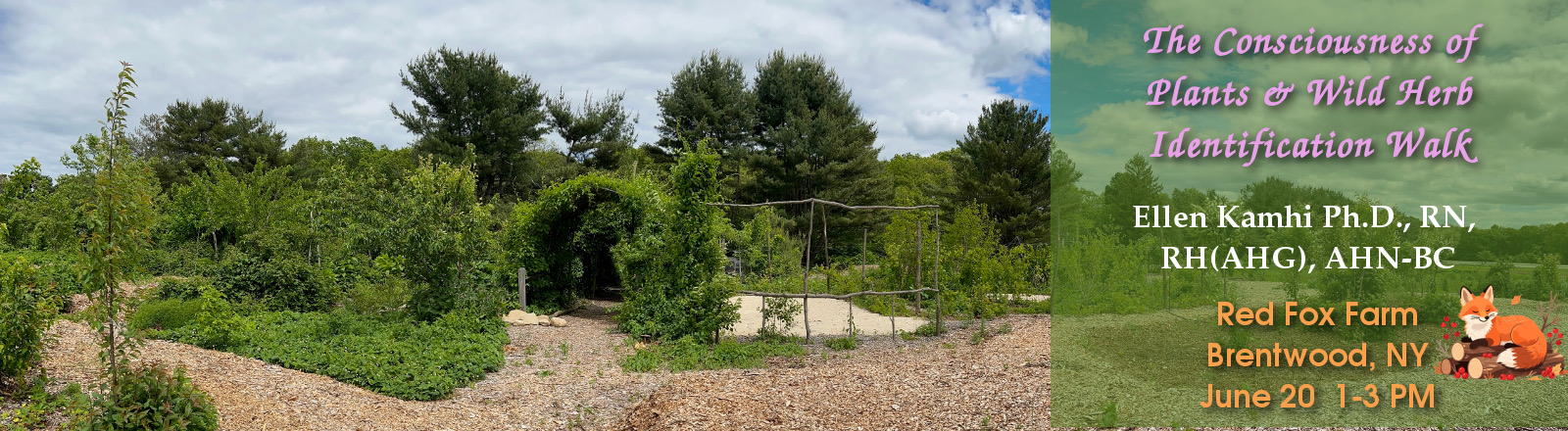Consciousness of Plants and Wild Herb Identification Walk at Red Fox Farm June 20 2026 1-3PM