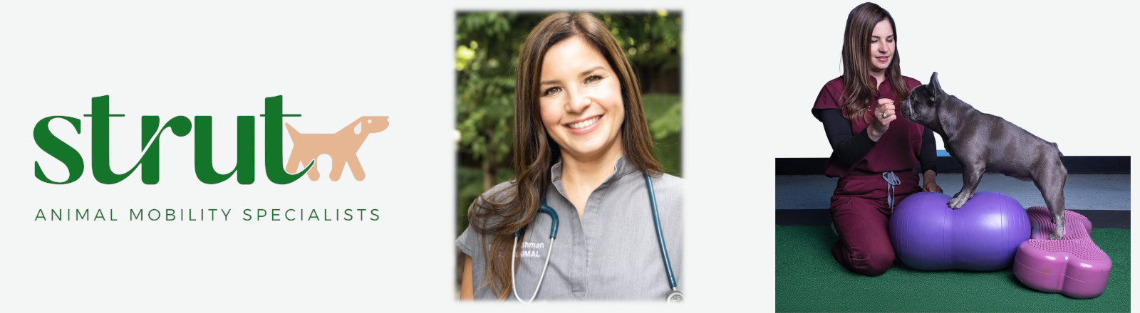 Dr Kelly Fishman - Strut Animal Mobility Specialists