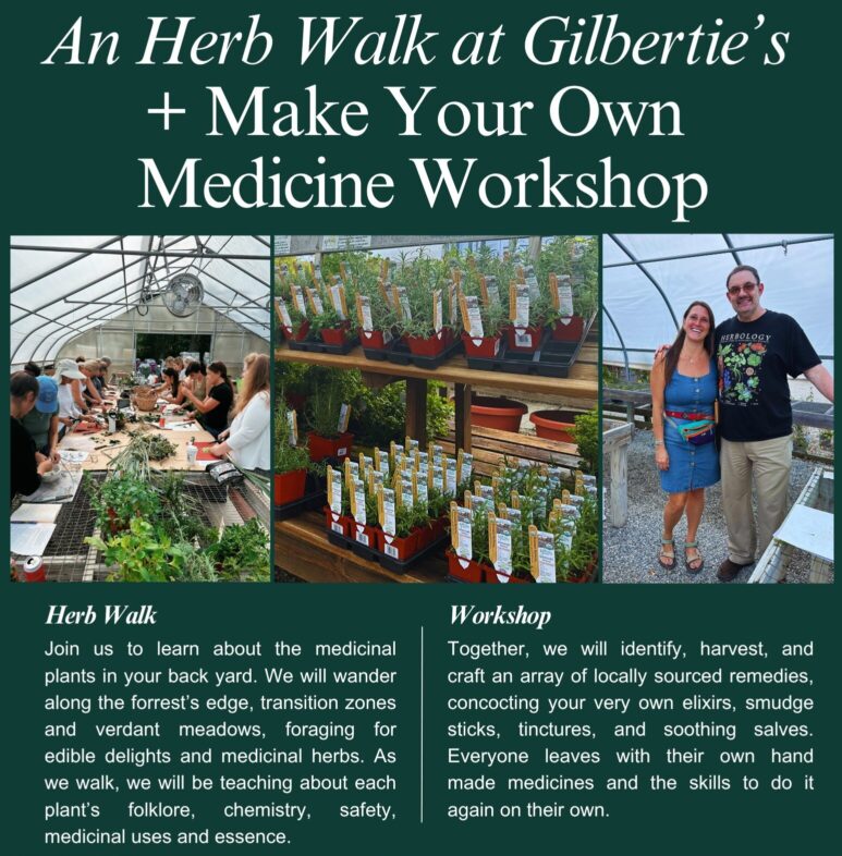 2026 Herb Walk and Make Your Own Medicine Workshop